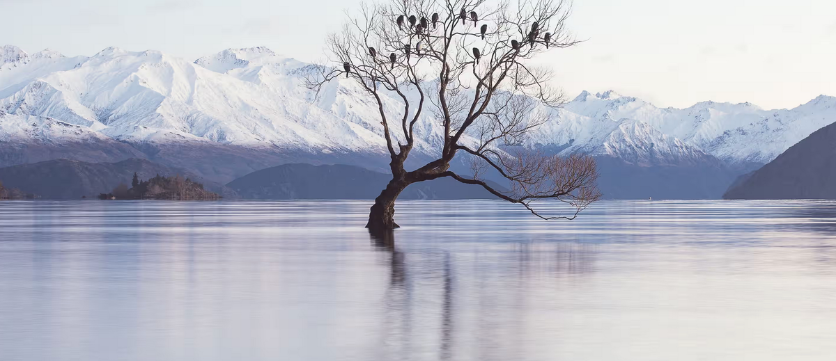 Regulatory Standards Bill could cost up to $60 million a year