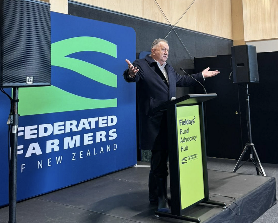 Is Shane Jones really to blame?
