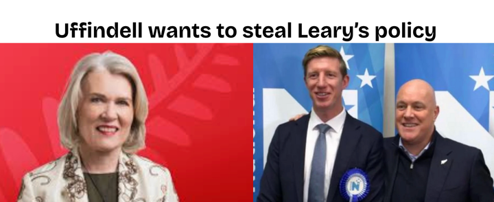 National's Sam Uffindell Plots To Steal Labour's Policy