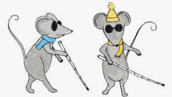 The Blind Leading The Blind & RBNZ appoints Anna Breman