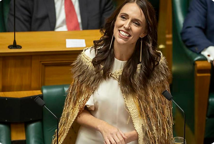 NZ paid 122% Of Cost For 0 i-Rex Ferries